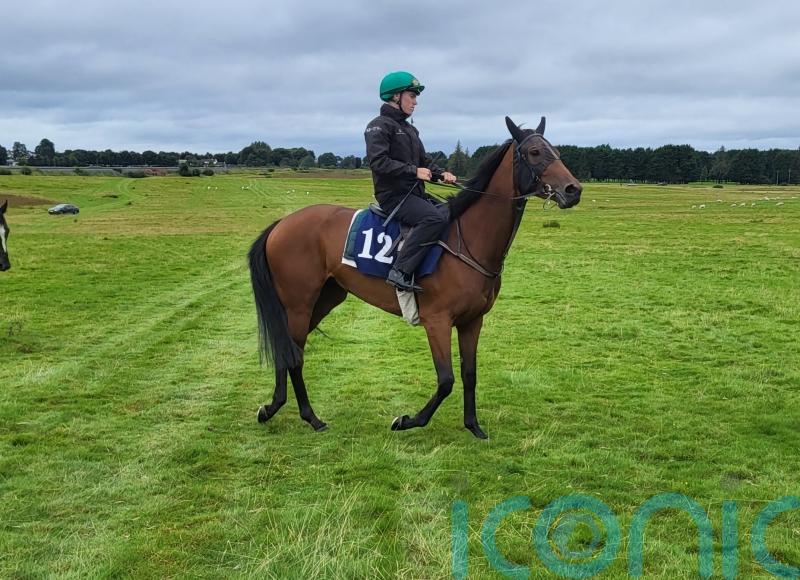 Murtagh set to aim big with Cadeau Belle next week