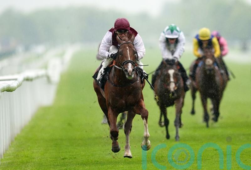 Main harbouring Group-race hopes for Zoulu Chief