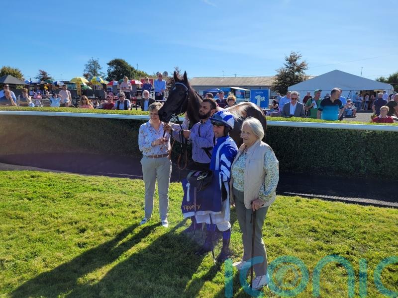 Clever And Cool claims Fairy Bridge prize