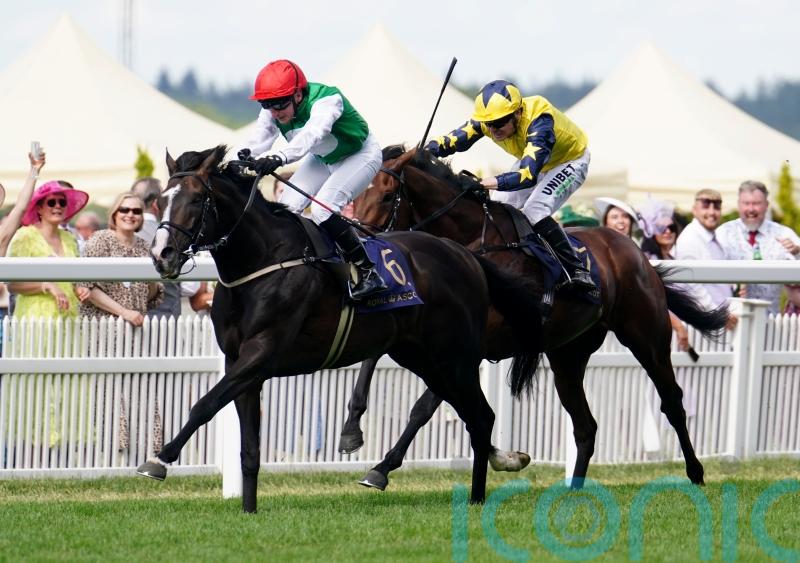 Muir pays tribute to Pyledriver after announcing retirement