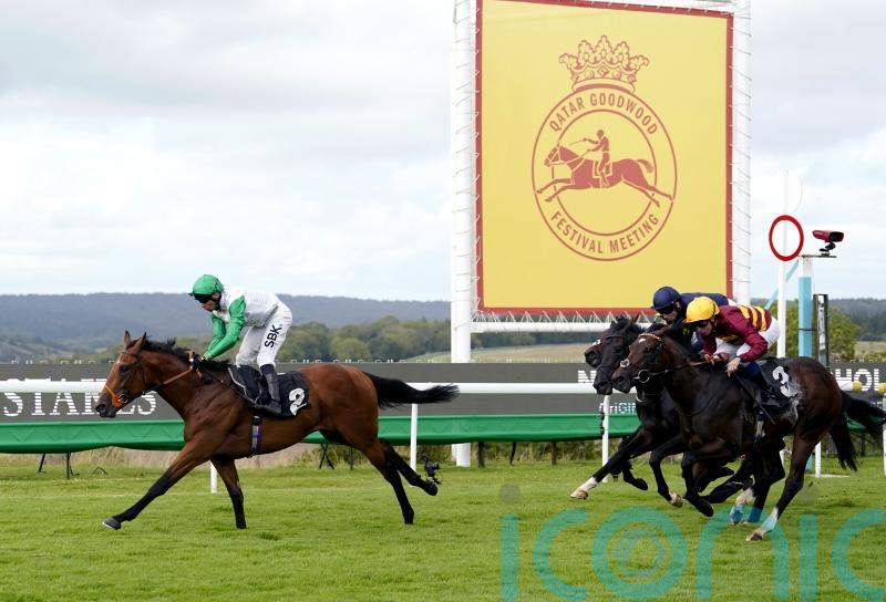 Hills gives Vintage second Iberian Champagne aim