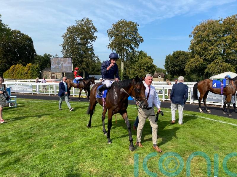 Cambridge puts O&rsquo;Brien on the mark with rare Salisbury runner