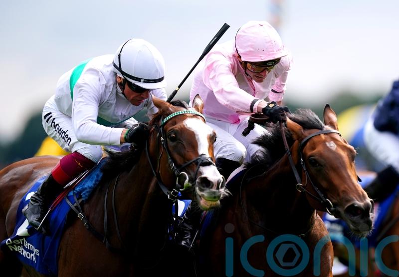 Warm Heart and Blue Rose Cen clash in mouthwatering Vermeille