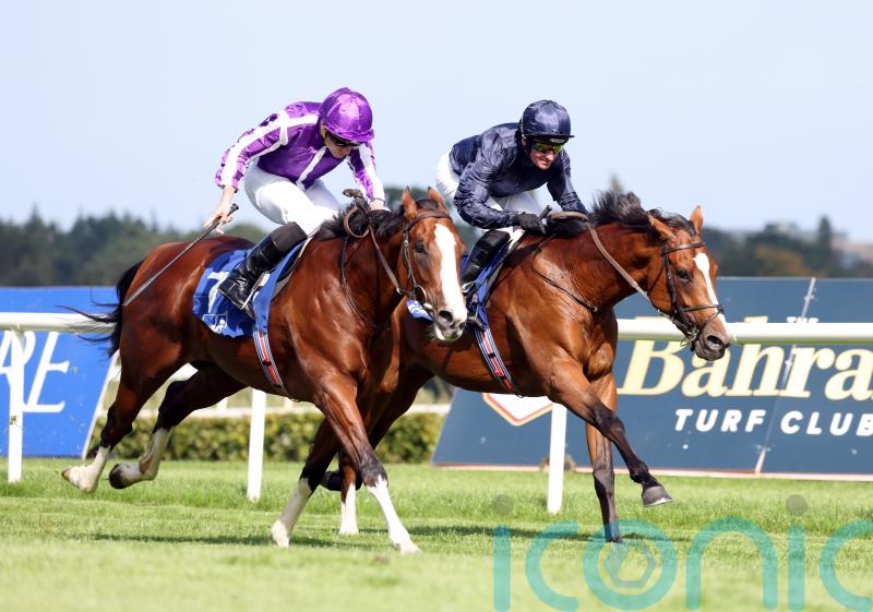 Diego Velazquez stays unbeaten at Leopardstown