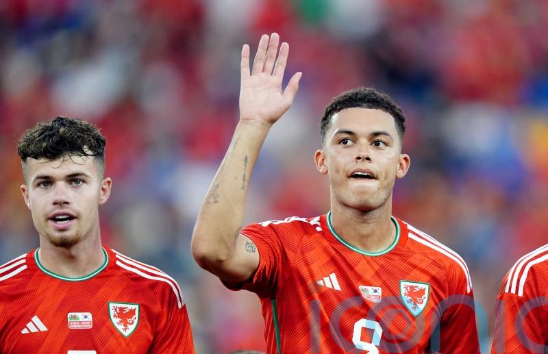 Brennan Johnson has the potential to reach &lsquo;highest of levels&rsquo; &ndash; Neco Williams