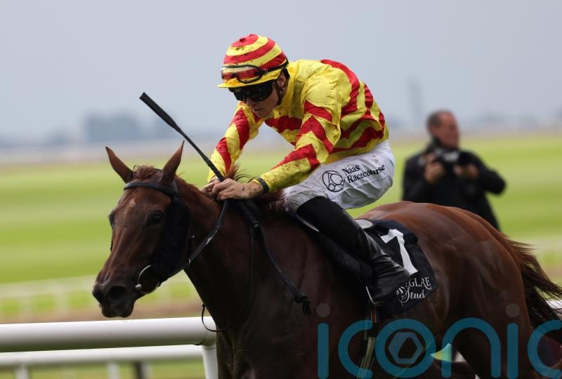 Lumiere Rock sparkles in Blandford Stakes