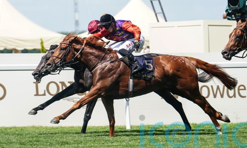 Royal winner of Leger would be huge for racing, says Carson