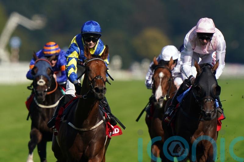 King plotting Cadran challenge for resurgent Trueshan