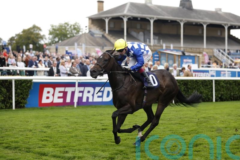 Cotter hands Matilda Picotte Newmarket Challenge