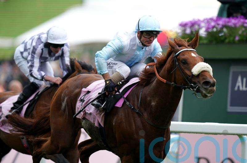 Melbourne Cup off the agenda for Giavellotto