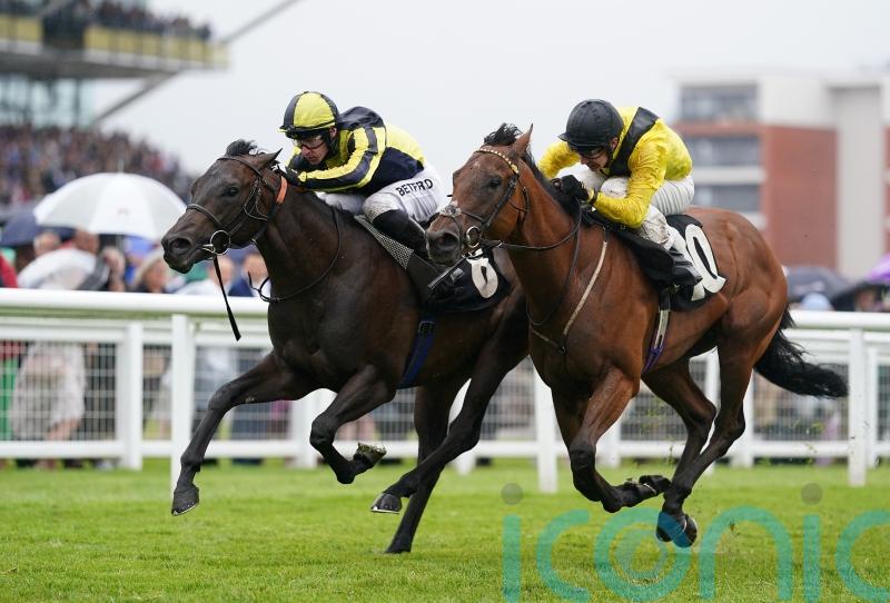 Mister Sketch backed to cope with tough conditions