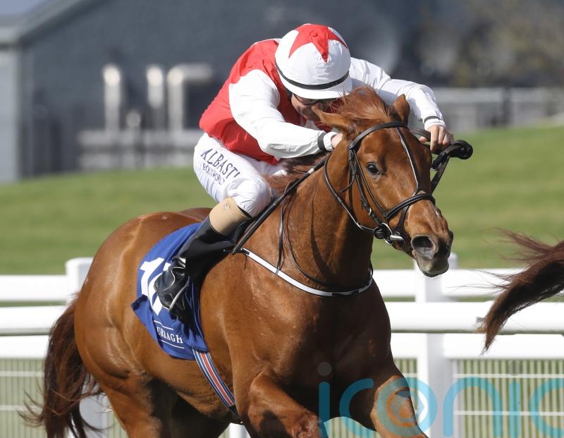 Curragh Quest for Ocean ahead of Ascot aim