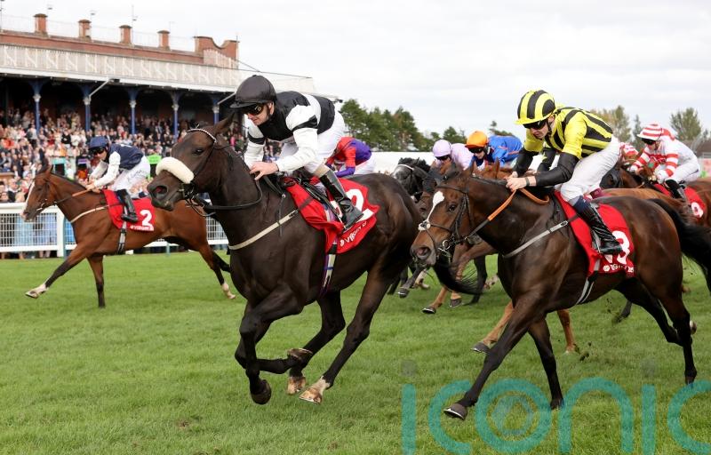 Significantly strikes Gold at Ayr