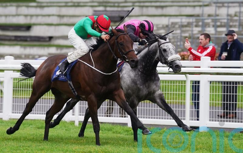 Go Athletico on target in Renaissance Stakes