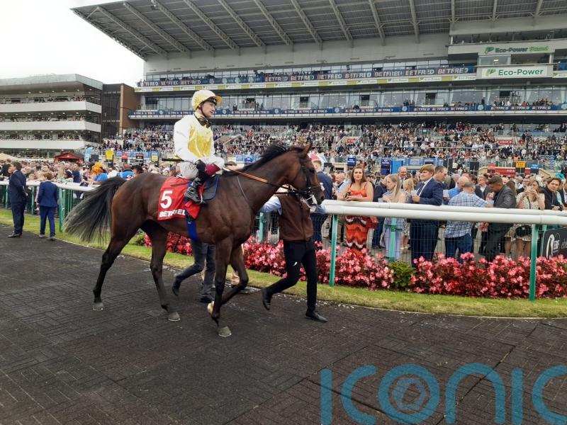 Menuisier sets out Saint-Cloud options for Sunway