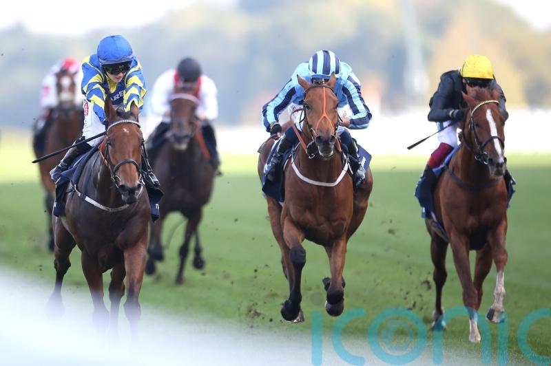 Conditions key to Ellison&rsquo;s plan for back-to-form Tashkhan