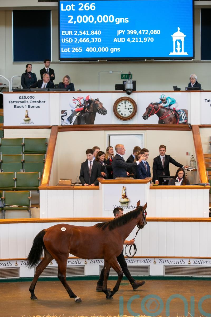 Coolmore land 2,000,000 guineas Frankel colt at Tattersalls
