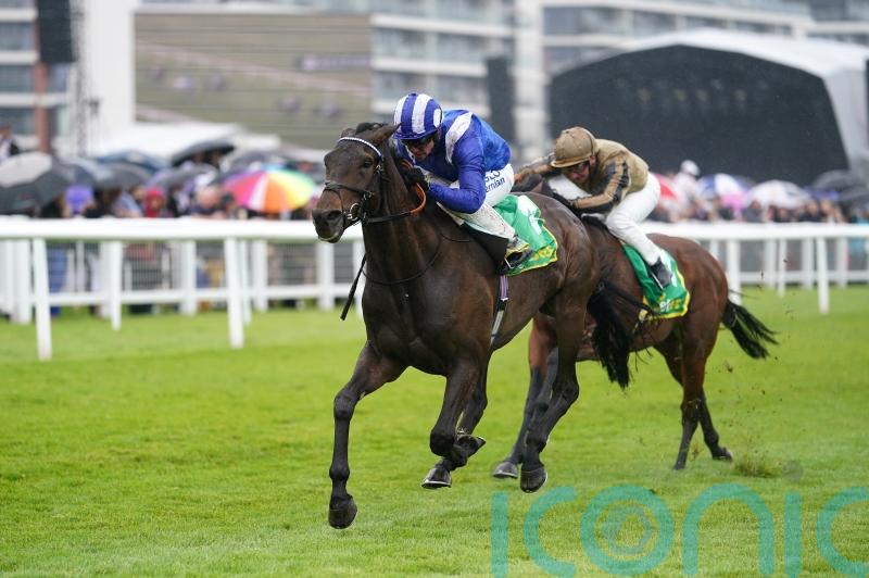 Shadwell firing two in bid to extend excellent Cumberland Lodge record