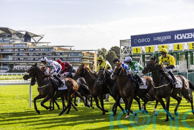 Premier Racedays to take centre stage in 2024