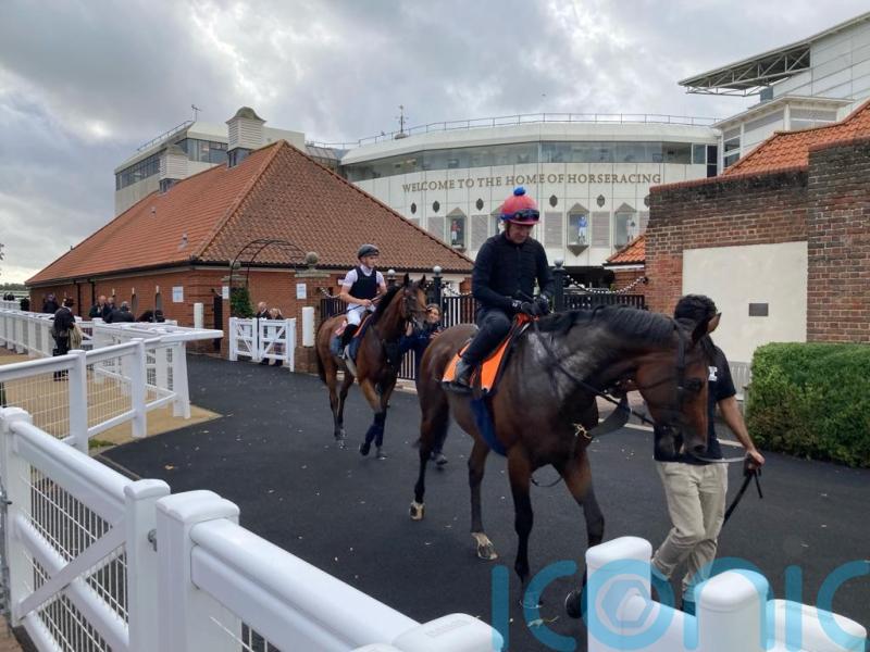 Haggas duo tune up for possible Champion Stakes assignments