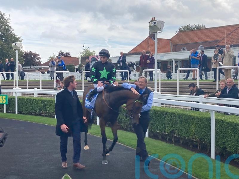 Inquisitively has all the answers in Cornwallis