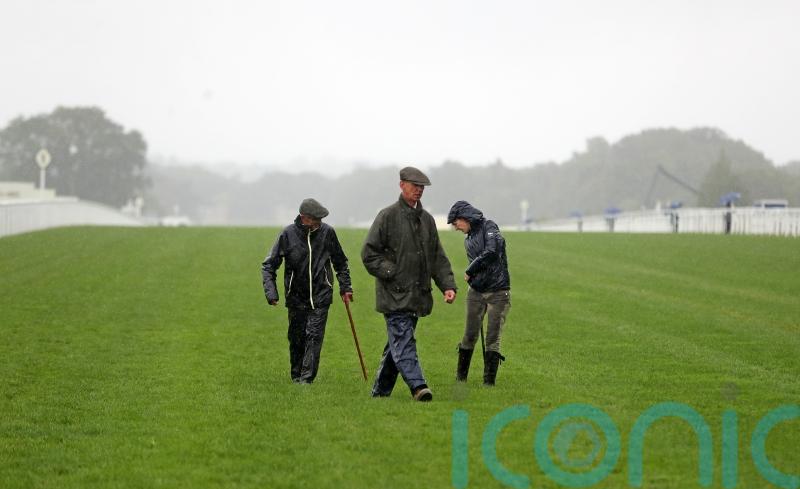 Stickels rates track switch &lsquo;pretty likely&rsquo; for Champions Day