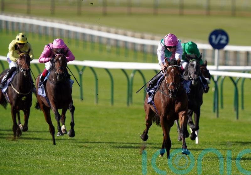Juddmonte duo hunting Group One gold at Ascot