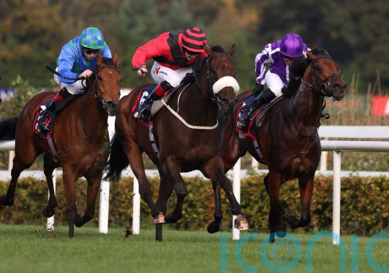 Mutasarref keeps up the good work for Lyons in Leopardstown feature