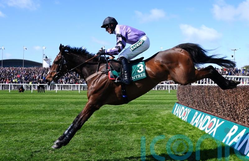 Paddy Power favourite Stage Star firmly on course for Cheltenham