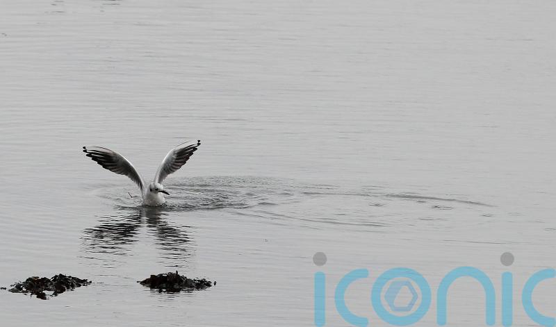 Utility company acknowledges discharges of raw sewage &lsquo;completely unacceptable&rsquo;