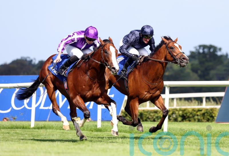 Diego Velazquez highlights eight contenders for Futurity Trophy