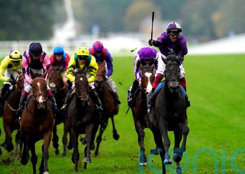 Champion Stakes hero King Of Steel all set to take on America