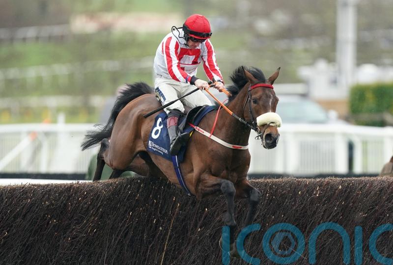 The Real Whacker going for Paddy Power gold