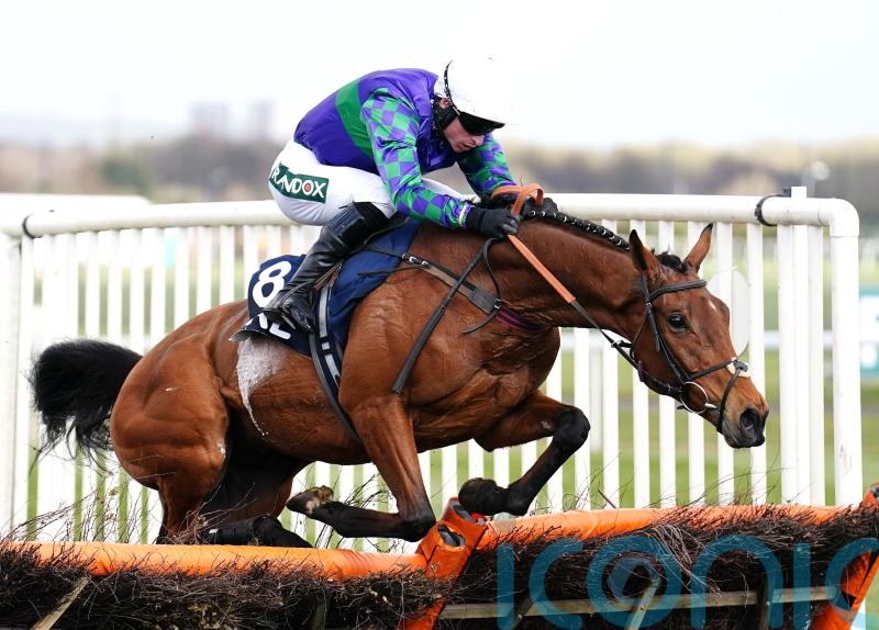 Staying stalwart Thyme Hill returns to action over hurdles