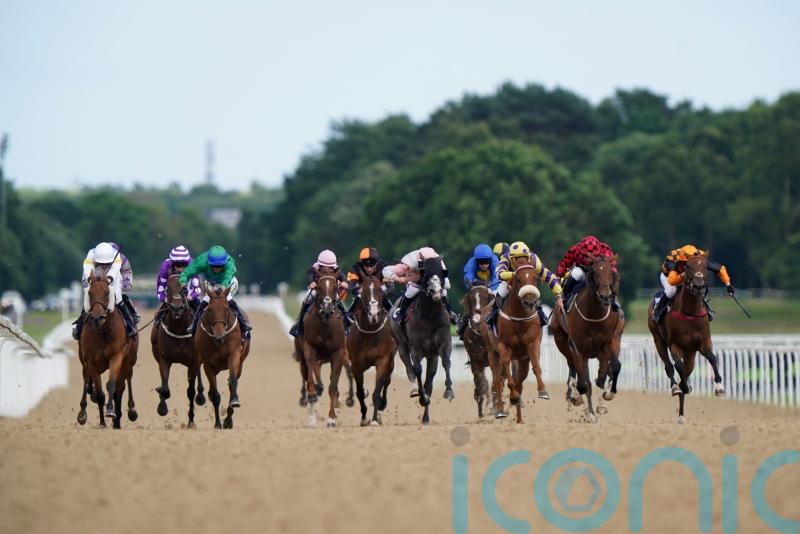 November Handicap switched to Newcastle