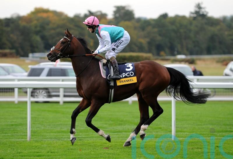 Frankel to join Dubawi as most expensive stallion