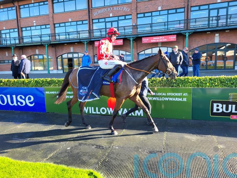 Imagine makes good first impression over fences