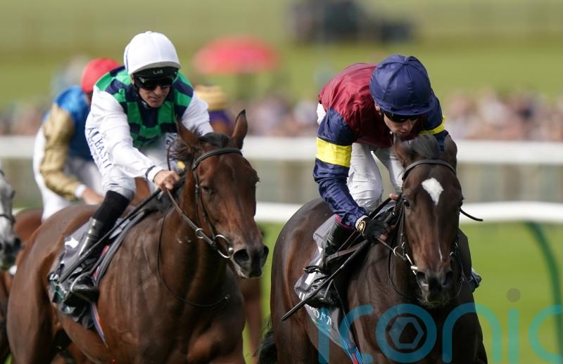 Classic trial a possibility for Porta Fortuna