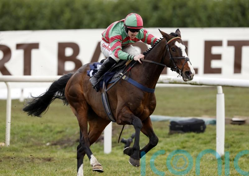 Tommy&rsquo;s Oscar forced to sidestep Cheltenham trip