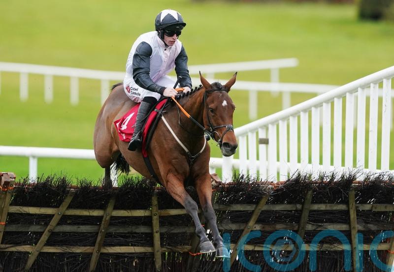 Kala Conti kicks off Irish career with Navan cruise