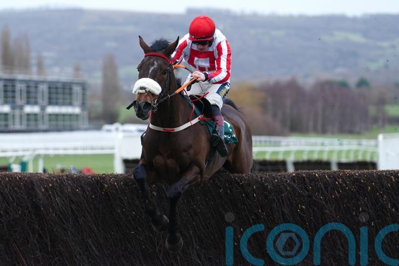 The Real Whacker still on course for King George challenge