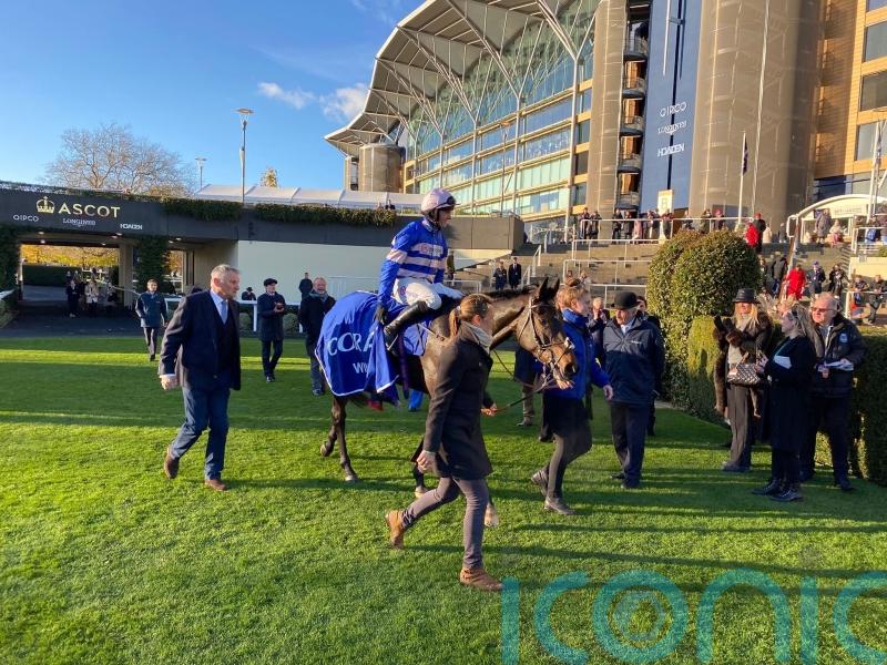 Blueking D&rsquo;Oroux takes Coral Hurdle prize