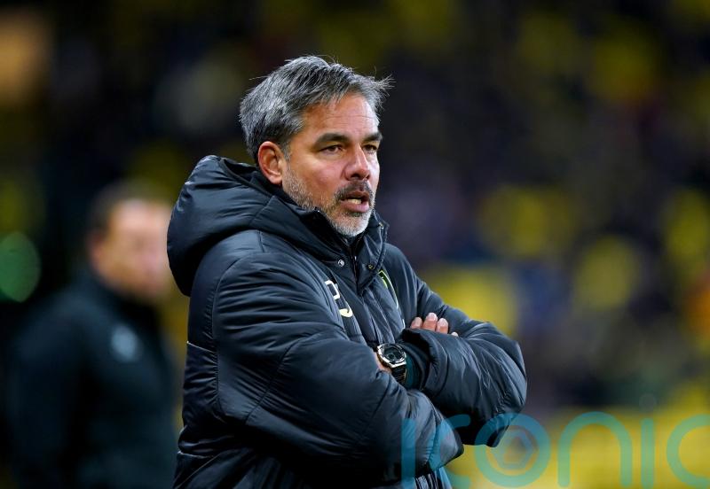 David Wagner understands fans&rsquo; reaction after Norwich lose to Watford