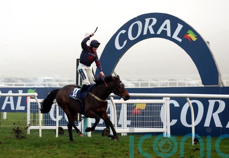 Datsalrightgino cuts through field to lift Coral Gold Cup