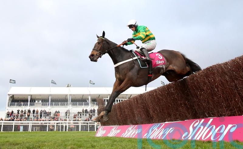 Jonbon &lsquo;older and stronger&rsquo; for ground challenge at Sandown