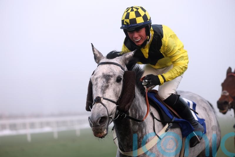 Tizzard pair showing no signs of ageing