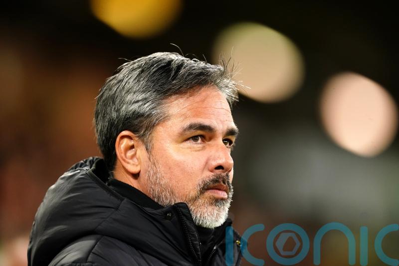 Norwich boss David Wagner delighted to &lsquo;put things right&rsquo; with clinical display