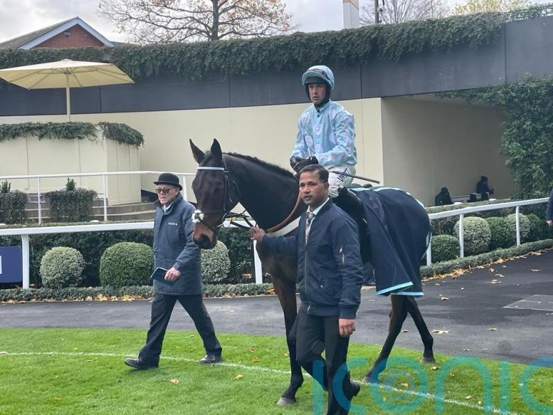 Doddiethegreat primed for Cheltenham charity mission