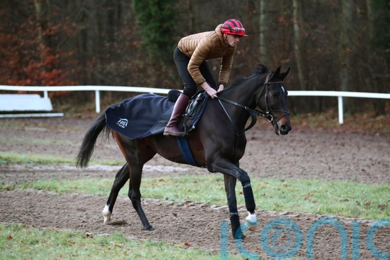 &lsquo;Unbelievable&rsquo; Ile Est Francais in great shape for Boxing Day