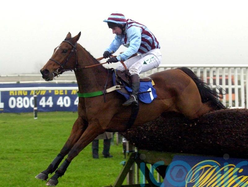 Edredon&rsquo;s blur of a King George was so special for Henrietta Knight